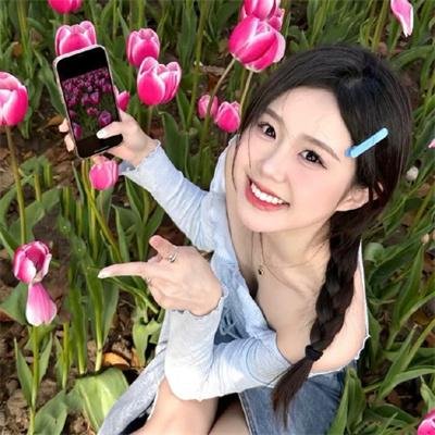 流氓督察 海报